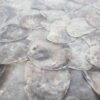 romano oyster shell square coffee table