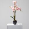 artificial plant - orchid pink (jwp3081)