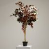 artificial potted ficus (jwt2739)