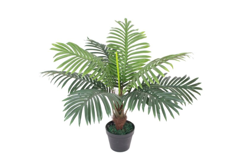 artificial plant - small palm (jwp-231)