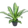 artificial plant - small dracaena (jws-2591-1)