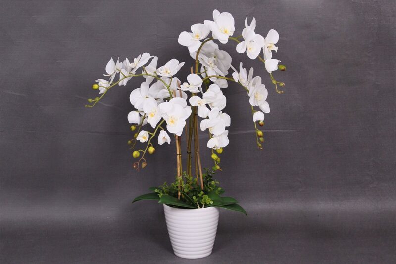 artifical plant - orchid white (jwp363)