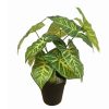 artifical plant - mini taro  (jws3263-2)