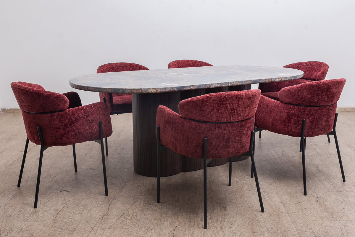 tossa dining table + 6 bissam chairs