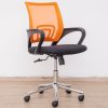 bridy (am-11-317b) - low back