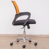 bridy (am-11-317b) - low back
