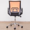 bridy (am-11-317b) - low back