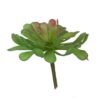f2619-gree dudleya succulent artificial plant
