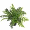 potted artificial fern (jwt 2743)