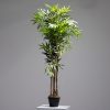 POTTED BAMBOO (JWT2424)