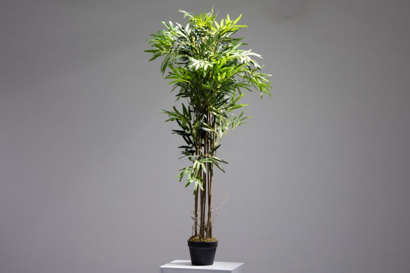 POTTED BAMBOO (JWT2424)