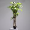 POTTED BAMBOO (JWT2242)