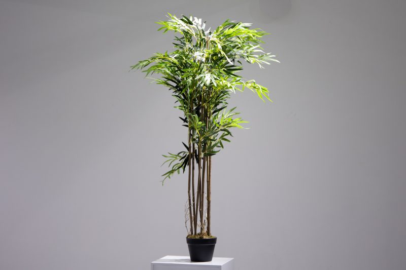 POTTED BAMBOO (JWT2242)