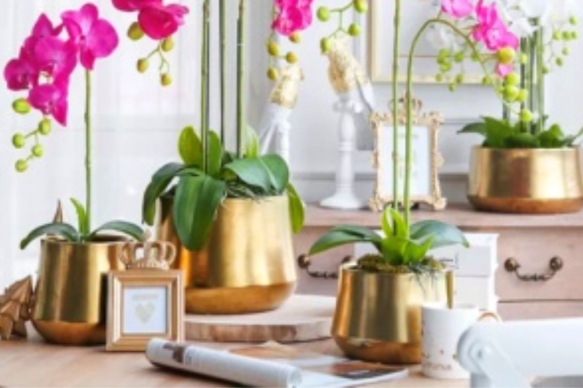q73 gold planter (small) (price indicated is per piece)