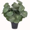 artifical plant - begonia leaves (jwp137)