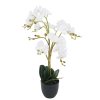 artifical plant - orchid white (jwp3082)