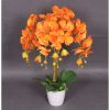 artifical plant - orchid orange (jwp365)
