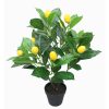 artifical plant - lemon (jwsl067)