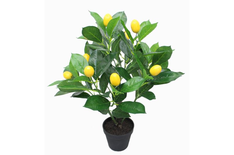 artifical plant - lemon (jwsl067)