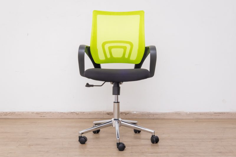 bridy (am-11-317b) - low back