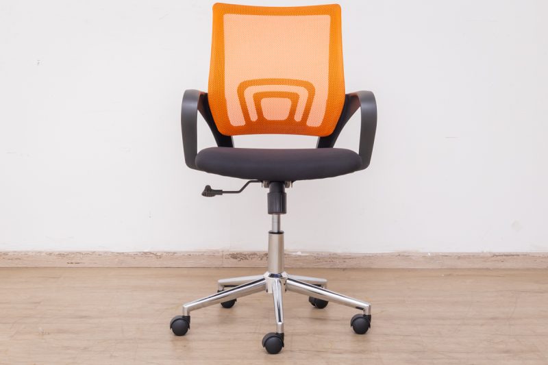 bridy (am-11-317b) - low back