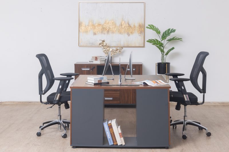 55flm209 - 2 way work station (copy)