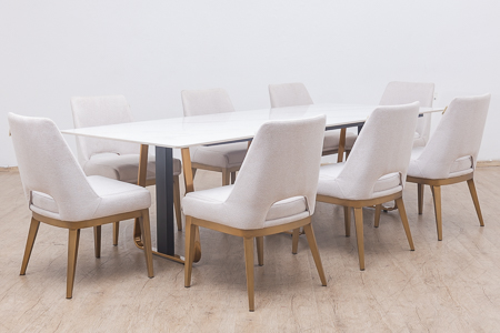 inaya dining table  + 8 alpina chairs