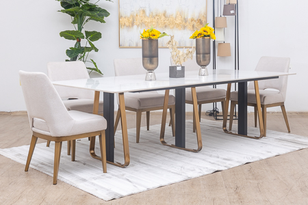 inaya dining table  + 8 alpina chairs