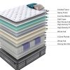 sleepapedic medium queen size pocket spring mattress