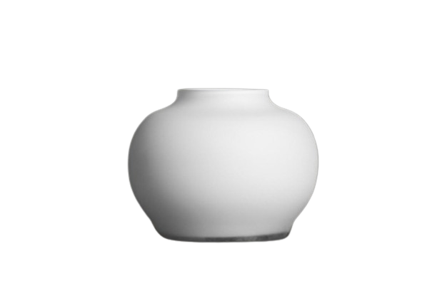 home decor -hc2322-glass vase