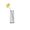 home decor --glass vase (copy)