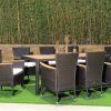 caila outdoor dining table + 8 chairs