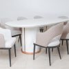 riga dining table + 8 chairs