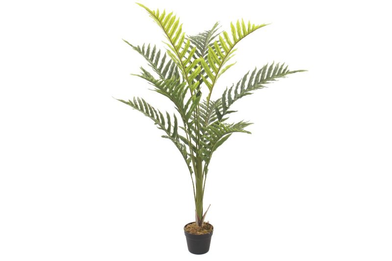 artificial plant - palma peva (jws3685)