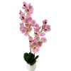 artificial plant - vanda rubber (jws3687p)