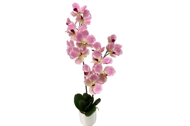 artificial plant - vanda rubber (jws3687p)