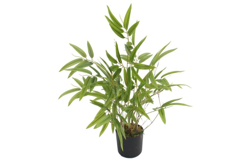 artificial plant - nature bamboo (jws3654)