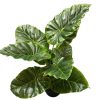 artificial plant - taro peva leaf (jws3258-11)