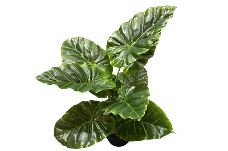 artificial plant - taro peva leaf (jws3258-11)