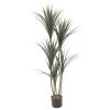 artificial plant - bauhini peva (jws3690) (copy)