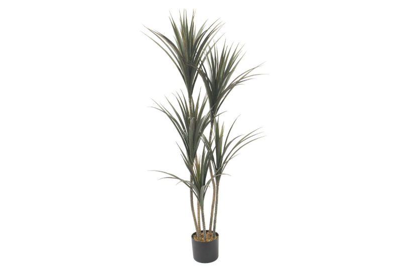 artificial plant - bauhini peva (jws3690) (copy)