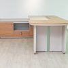 51mjs009 - executive desk