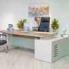 51mjs009 - executive desk