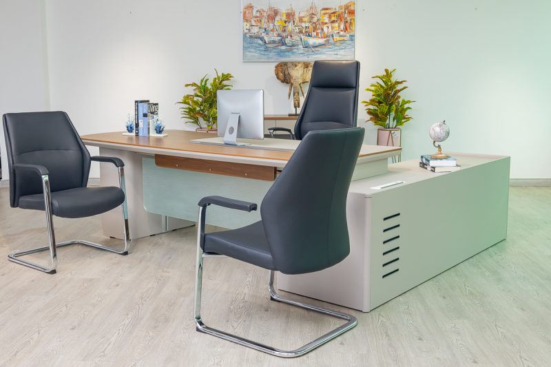 51mjs009 - executive desk