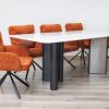 tulip dining table + 8 tonic chairs