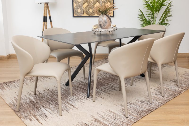 leena dining table + 6 finley chairs