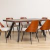 whitney dining table + 6 elnora chairs