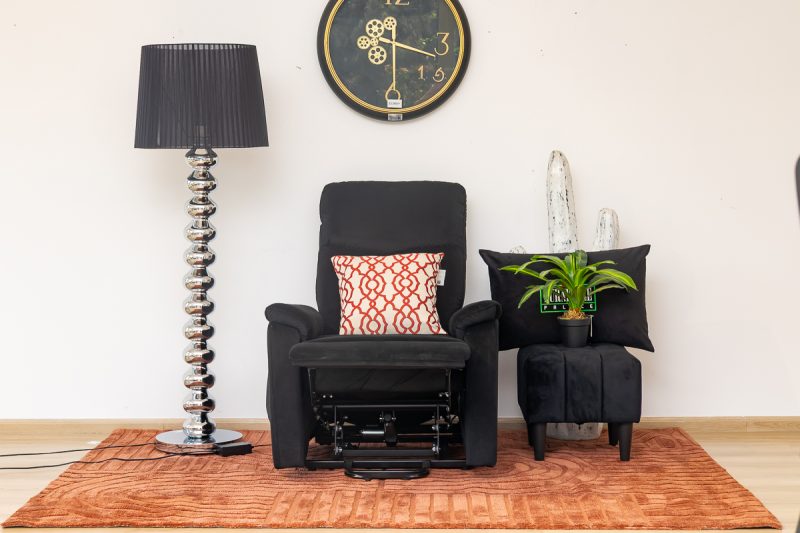 leslie single power lift chair