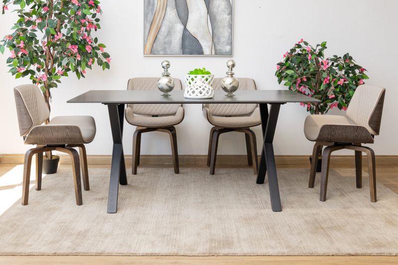 rina dining table + 6 hoven chairs