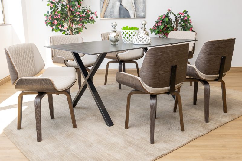 rina dining table + 6 hoven chairs